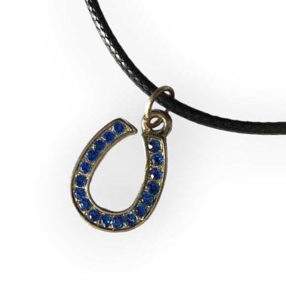 Jewelry - COLTS blue rhinestone horseshoe pendant necklace